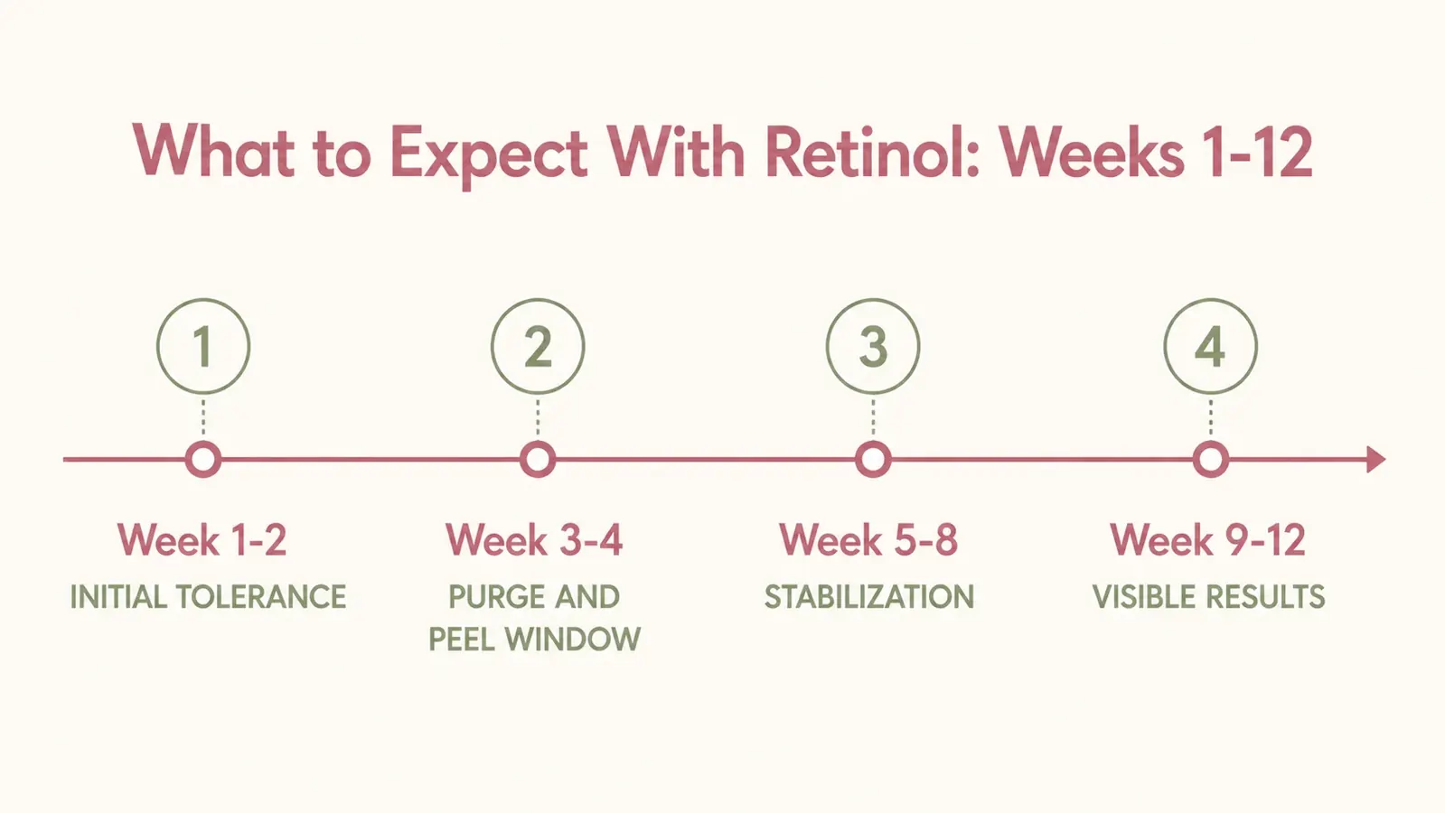 Simple timeline chart showing retinol adjustment phases from week one through week twelve, with labels for initial tolerance, purging window, stabilization, and visible results